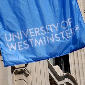 Feedback : LLM Corporate Finance Law - University of Westminster