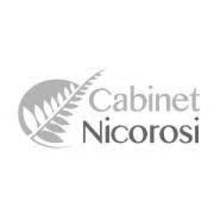Cabinet Nicorosi